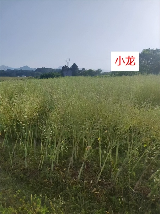 53b9af43a1184b159789558e14d9cac5~tplv-tt-origin-web_gif.jpeg