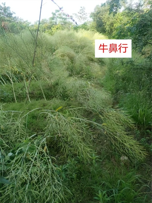 f287d441ac434f1aa97300c5dfb43c4e~tplv-tt-origin-web_gif.jpeg